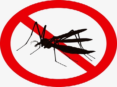 里水除四害公司常用的灭蚊子的办法有哪些