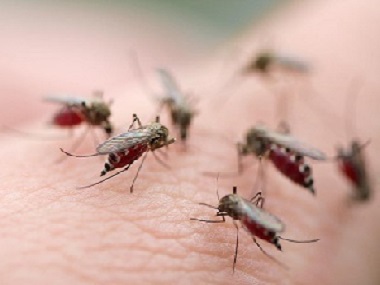 和顺四害消杀中心分享4个办法来消灭蚊虫