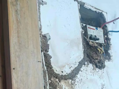 罗村白蚁防治中心住建房白蚁危害与治理对策