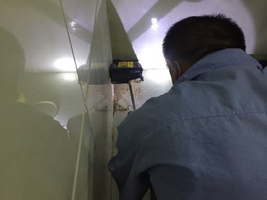 桂城白蚁备案站灭治白蚁为啥不能“一劳永逸”