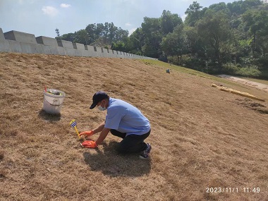 官窑除四害中心水库堤坝怎样防治老鼠